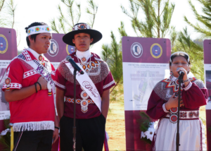 ILTF/NICC & Blackfeet Nation Forest Carbon Project