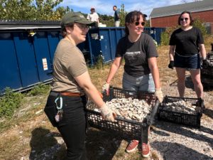 Billion Oyster Project